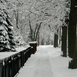 Meet your Posher, Judy